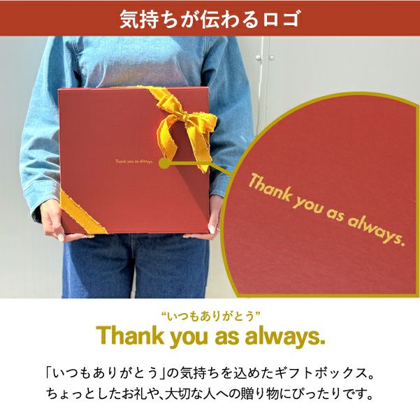 COSTA NOVA コスタノバ カップセット | キッチン雑貨・食器