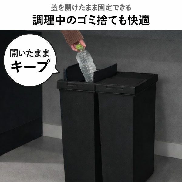  ASVEL アスベル 両開きダストボックス 20L 2個セット | インテリア雑貨・ゴミ箱