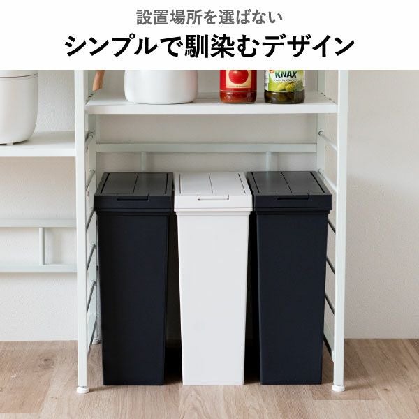  ASVEL アスベル 両開きダストボックス 20L 2個セット | インテリア雑貨・ゴミ箱