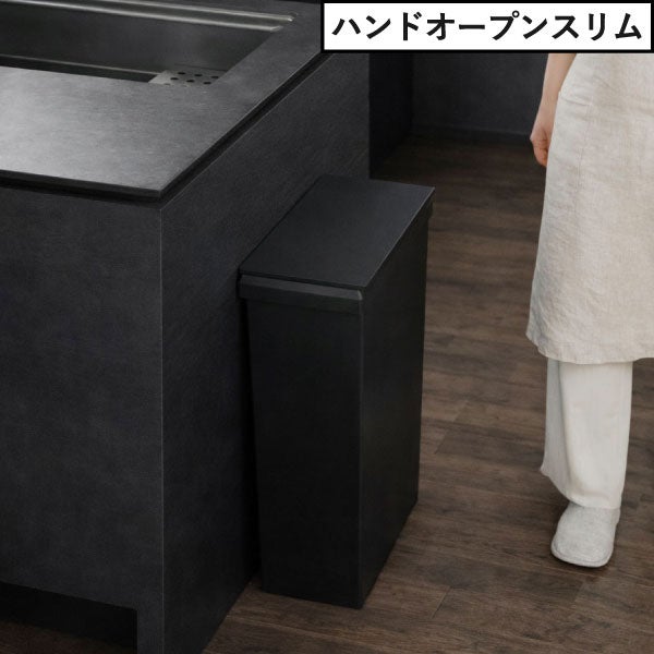 SOLOW ソロウ 隙間や通路で使えるダストボックス スライドオープン 40L 2個セット | インテリア雑貨・ゴミ箱