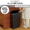 SOLOW ソロウ 隙間や通路で使えるダストボックス フルオープン 40L 2個セット | インテリア雑貨・ゴミ箱