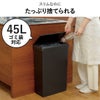 SOLOW ソロウ 隙間や通路で使えるダストボックス スライドオープン 40L 2個セット | インテリア雑貨・ゴミ箱
