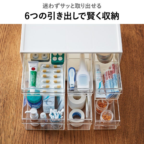 伊勢藤 お薬収納ケース＆サプリケース iseto | インテリア雑貨・収納