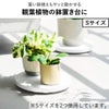 山崎実業 薄型台車 タワー ラウンド L tower | インテリア雑貨・タワーシリーズ