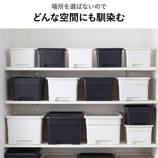 squ+ クローゼット棚上収納ボックス M | インテリア雑貨・収納ボックス