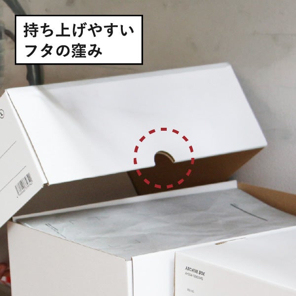 ANAheim アナハイム アーカイブボックス 1セット(2個入り) | インテリア雑貨・収納